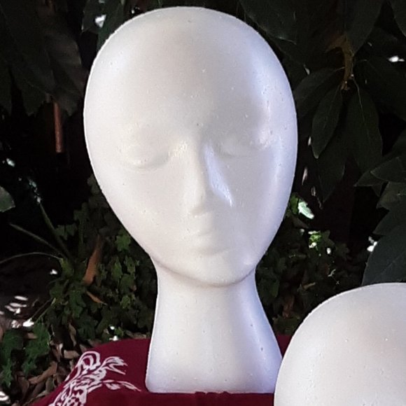 Styrofoam Heads Set of 2 Wigs Beauty Mannequin Dolls Crafts Display No Bundling - Picture 7 of 16